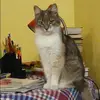 Отзыв от Варвара Гуляева